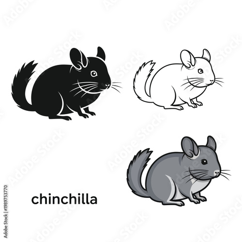 Cute chinchilla cartoon character illustration silhouette line art and colored.