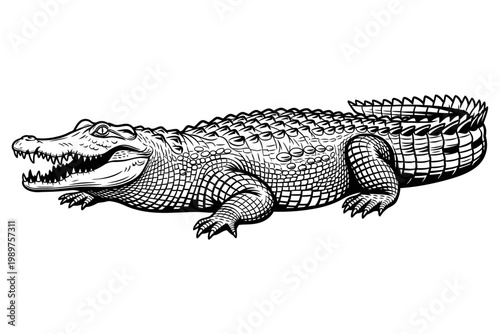 A detailed illustration of a crocodile showcasing its scaly skin and sharp teeth in a natural wildlife setting with v1.ai reference