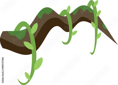 Tropical green liana winding around a brown tree trunk