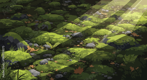 Sunbeams illuminating mossy forest floor with stones and fallen leaves