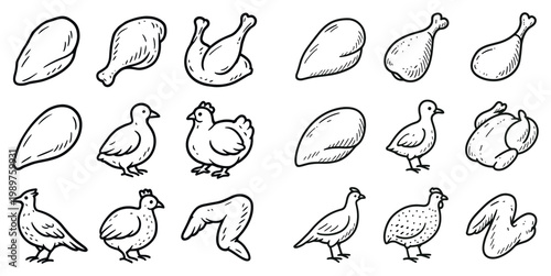 Poultry icons with drumstick chick and wing outline