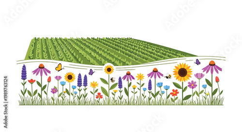 Vibrant wildflower field with crops and pollinators illustration isolated on white background