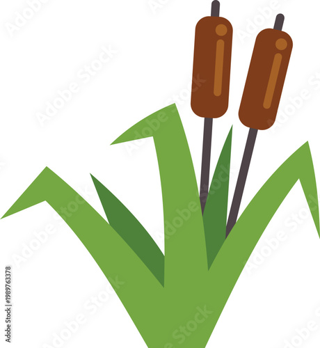 Cattail plants with green leaves and brown heads in a simple flat design illustration