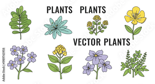 Collection of stylized vector plants with varied foliage isolated on white background