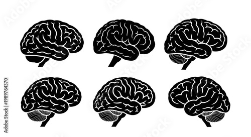 Set of Six Black and White Brain Silhouettes on White Background