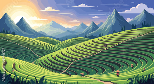 Terraced Rice Fields at Sunrise: Lush Green Landscape with Mountains and Farmers