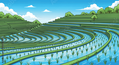 Lush Green Rice Terraces Under a Blue Sky with Clouds - Agricultural Landscape