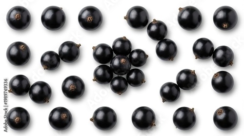 Fresh black currants close-up, glossy dark berries texture, organic summer fruit ingredients for cooking and baking isolated PNG with Transparent Background