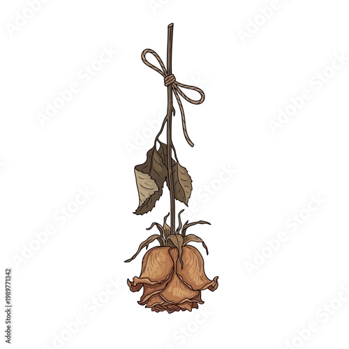 A wilting rose with a decorative bow tied around its stem