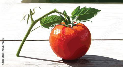 Fresh Red Tomato with Green Leaves and Vine on Wooden Surface for Food, Organic, Healthy Eating, and Agriculture DesignsFresh Red Tomato with Green Leaves and Vine on Wooden Surface for Food, 