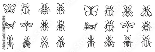 Insect icons with butterfly beetle ant outline