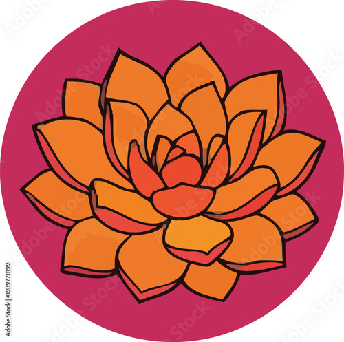 Orange succulent flower illustration with black outlines on pink circular background modern botanical vector for logo and branding.