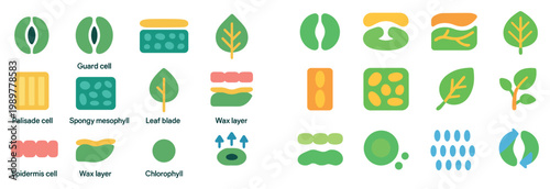 Botany icons with leaf cell chlorophyll flat