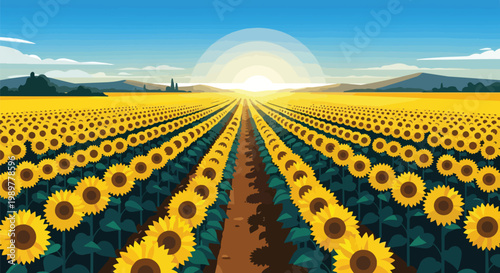 Vast Sunflower Field at Sunrise, Agricultural Landscape, Summer Blooms