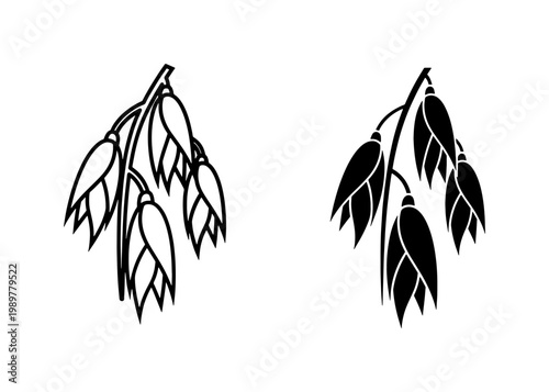 Minimalist oat stalks vector set, black and white cereal grain icons, organic oat plant silhouettes for food packaging and agricultural branding