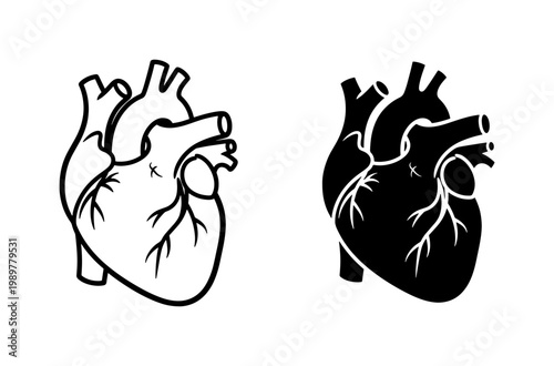 Anatomical human heart vector icons, realistic medical organ illustrations, black and white cardiac system graphics for healthcare education