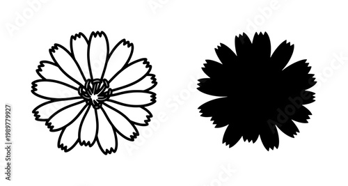 Minimalist daisy flower vector icons, black line art and solid silhouette floral set, botanical blossom illustrations for logo design