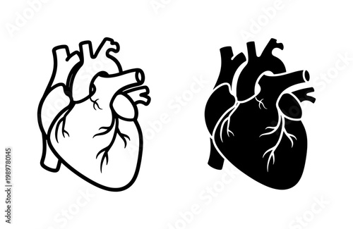 Anatomical human heart vector icons, realistic medical organ illustration set, black and white cardiac system graphics for healthcare education