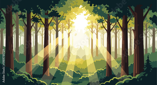 Sunlight through forest trees, magical light rays illuminating green woods