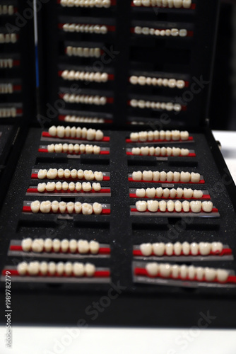 dientes de porcelana para coronas dentales