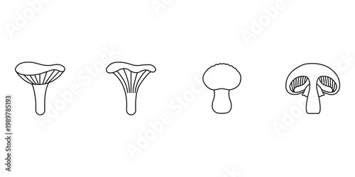 Mushroom variety line icon set including button species for minimalist nature and organic food culinary design projects.