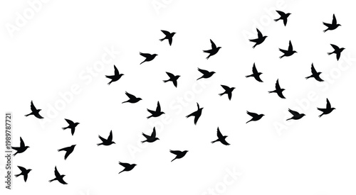Flock of birds in flight silhouette vector design
