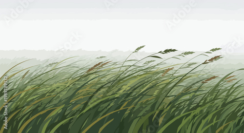 Windy Meadow with Tall Grass Swaying in the Breeze