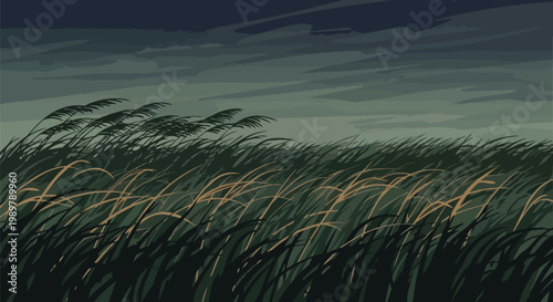 Windy Grassland Under Stormy Sky