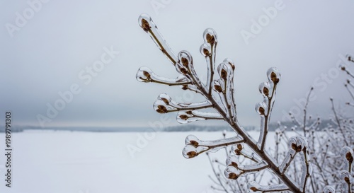 Ice covered branch in stark winter landscape