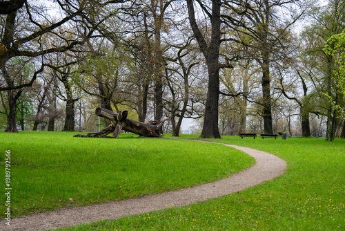 Idyllischer Gehweg in einem schönen Park im Frühling