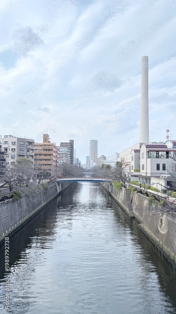 Obraz premium Meguro River in Tokyo Japan