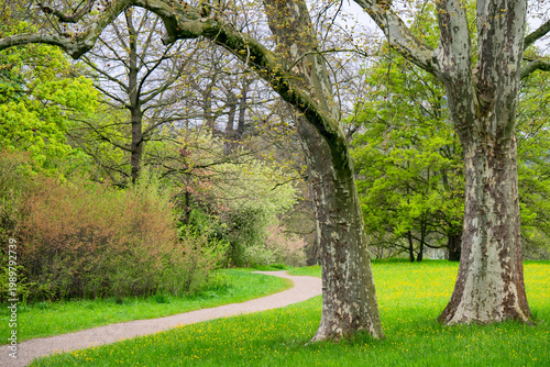 Idyllischer Gehweg in einem schönen Park im Frühling