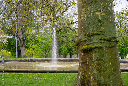 Ein Springbrunnen in einem schönen Park