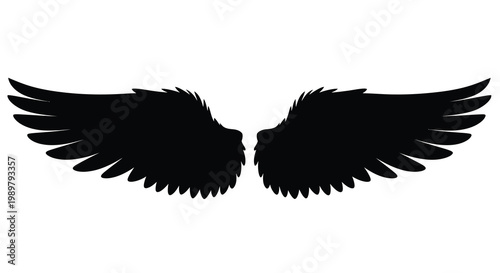 Dramatic black wings spread against a white background a striking silhouette