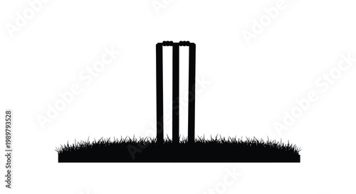 Cricket wickets and grass a striking black silhouette