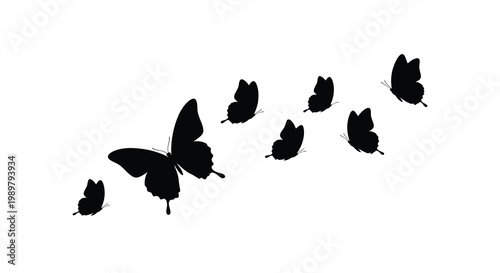 A group of butterflies in flight displayed as a striking silhouette