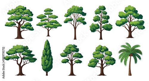 Diverse collection of green tree illustrations including deciduous types and a palm tree for landscaping and nature scenes.