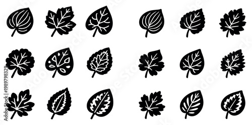 Nature icons with leaf foliage silhouette flat solid