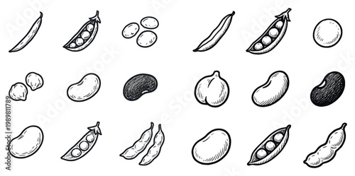 Food icons with pea pod bean outline sketch