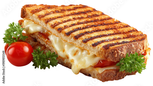 Grilled cheese sandwich with tomato and parsley garnish on transparent background.
