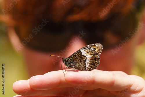 Butterfly sitting on the female hand