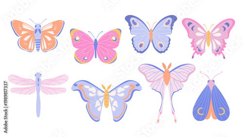 Collection of abstract illustrations with butterfly, dragonfly and moth in bright colors. Set of insects	