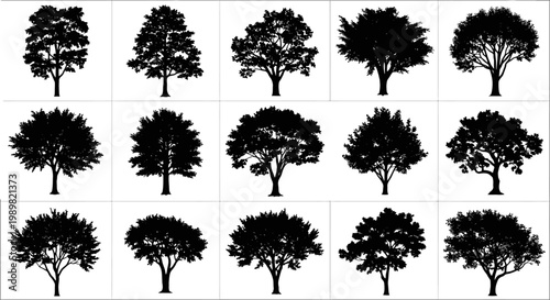 Collection of diverse tree silhouettes on white background for design use