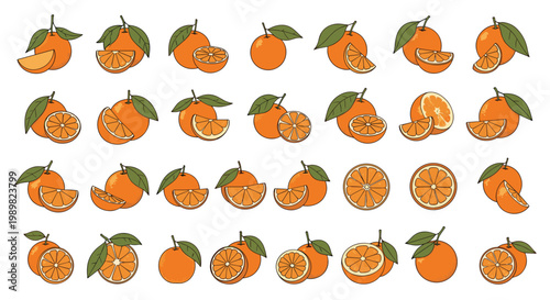 Large grid of orange fruit icons showing whole oranges, halves, and wedges with green leaves in a consistent illustrative style.