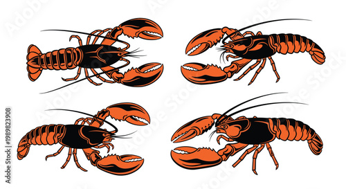 Set of four orange lobster illustrations shown from various angles, featuring detailed shells and large claws for seafood themes.
