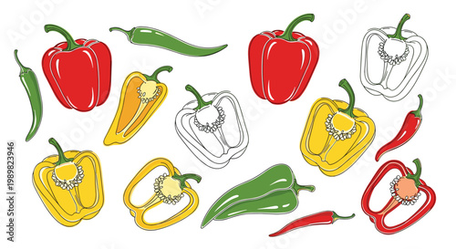Assorted bell peppers and chili peppers in red, yellow, and green colors shown whole and sliced in a colorful line art style.