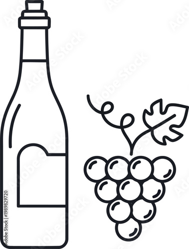 Wine bottle and grapes line art illustration