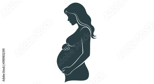 Pregnant Woman Holding Her Belly.