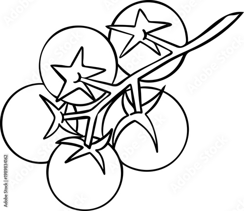 simple vector cherry tomato branch icon, black and white hand-drawn icon, doodle and sketch style