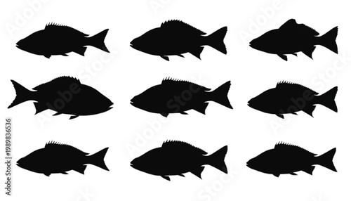 Fish silhouettes arranged in a grid pattern provide a versatile graphic resource for marine life projects, seafood branding, or educational materials requiring clean vector-style icons.